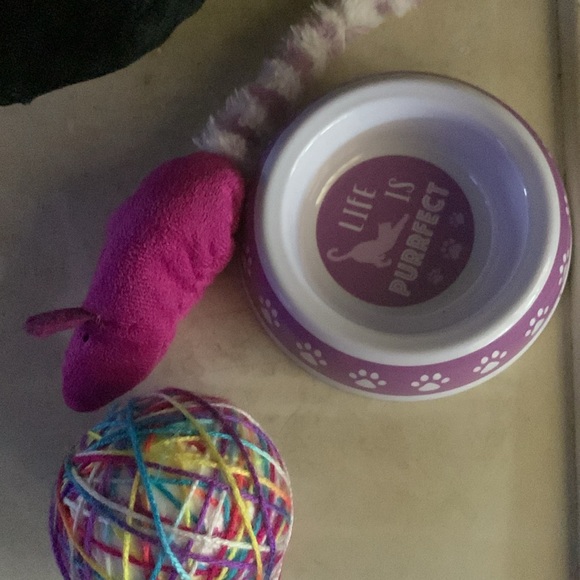 HOST PICK Bundle of Cozy comfortable very small kitten cat bed plus 3 items - Picture 12 of 12